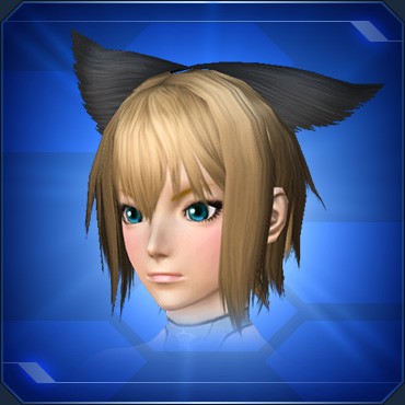 Pso2 Ngs 全アクセサリー 頭部小物 まとめ ロボアークスのpso2ngs攻略情報まとめ