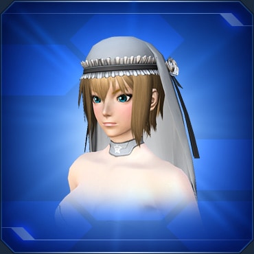 Pso2 Ngs 全アクセサリー 頭部上段 まとめ ロボアークスのpso2ngs攻略情報まとめ