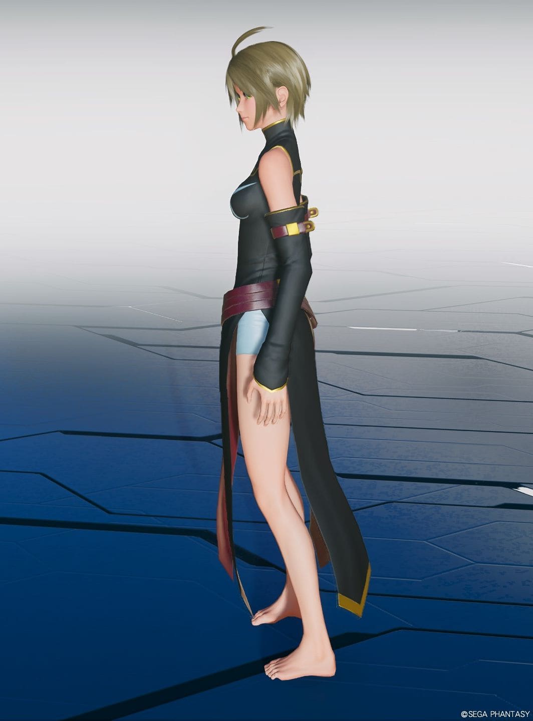 C.C.の服V2Baのレフト