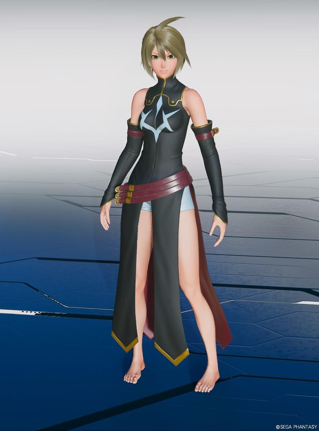 C.C.の服V2Baの全装飾の表示