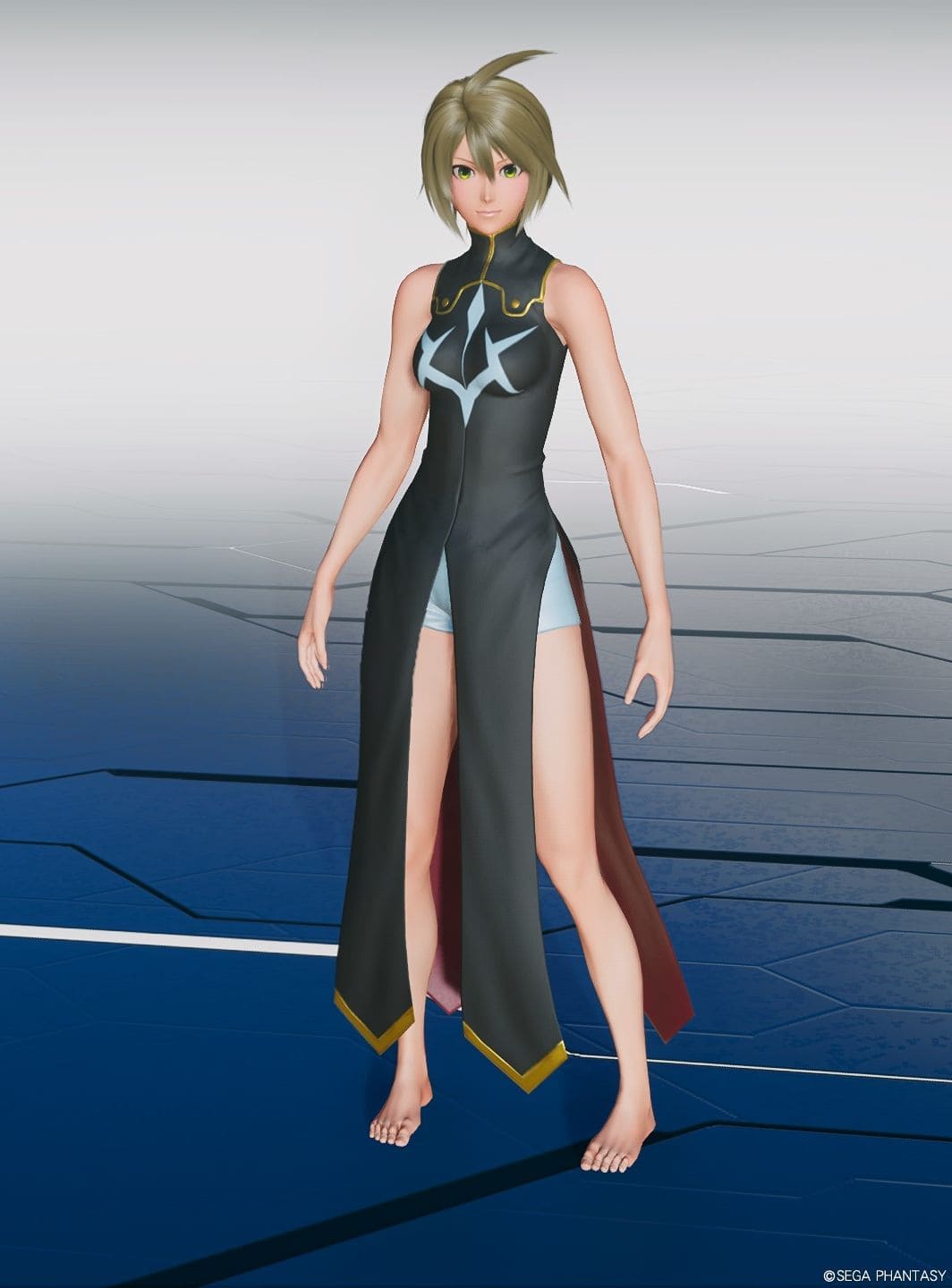 C.C.の服V2Baの全装飾の非表示