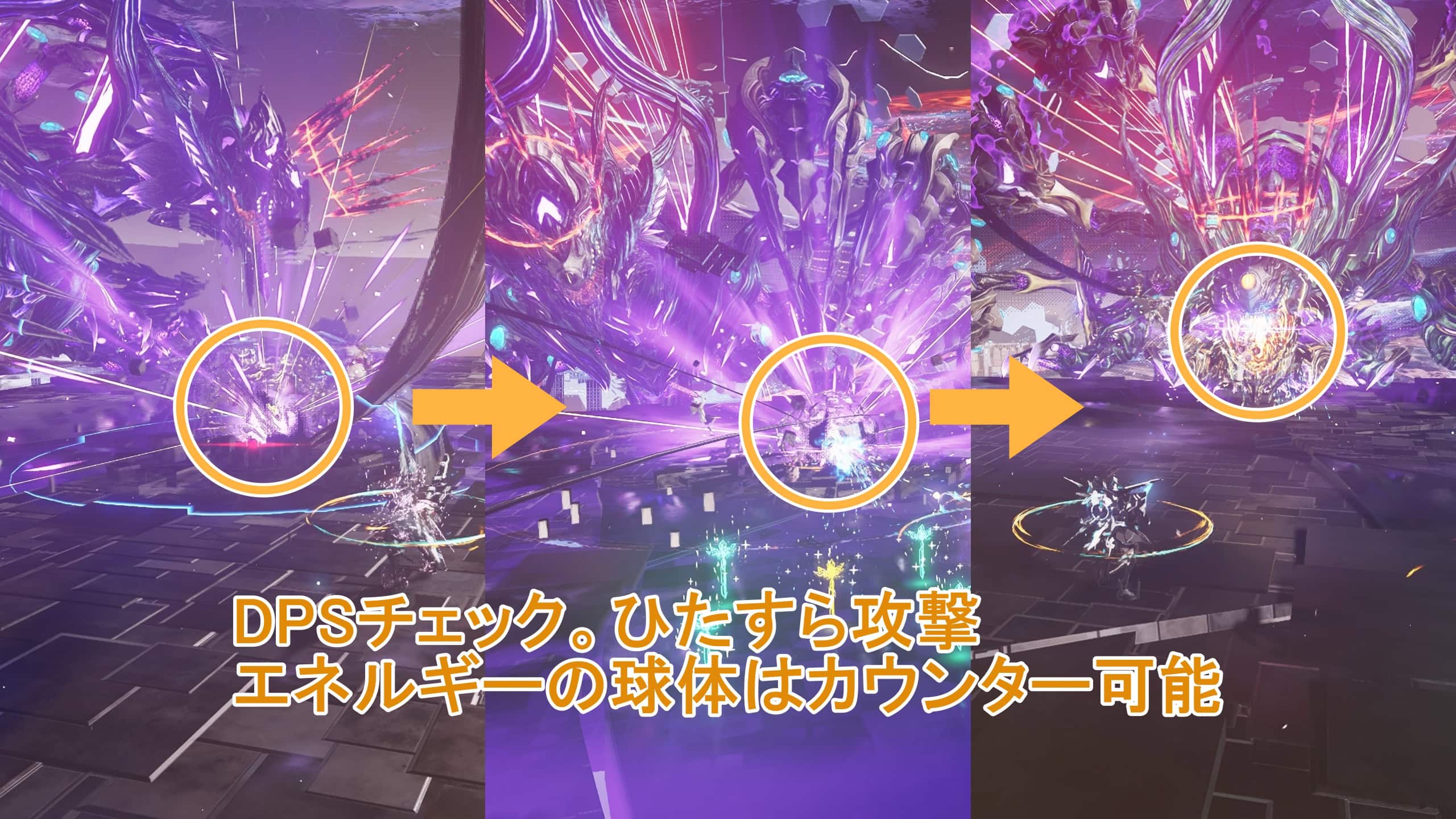 DFヴァエル第3形態_約HP10%の状態から続き再びDPSチェックの大技