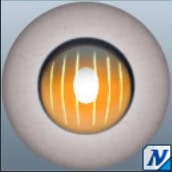 N-シバアイ