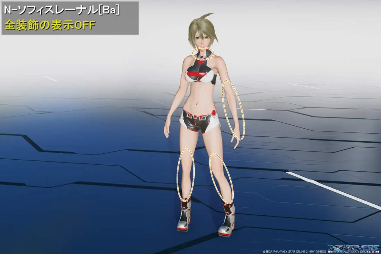 N-ソフィスレーナルBaの全装飾の非表示