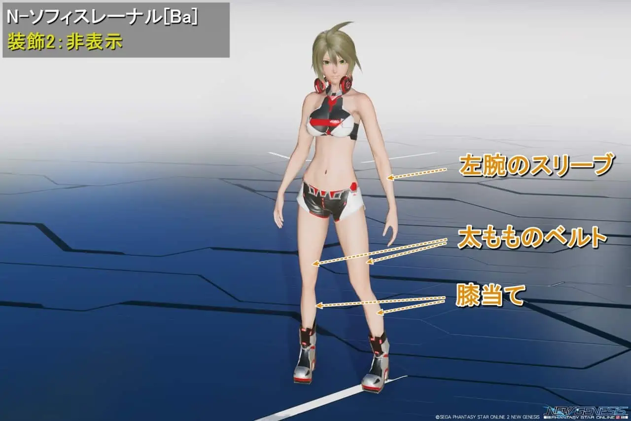 N-ソフィスレーナルBaの装飾2：非表示