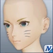 N-猫ひげペイント
