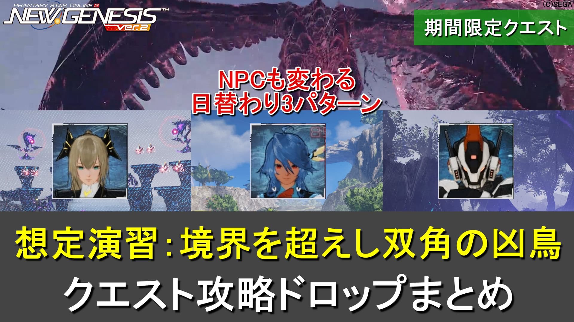 【PSO2NGS】想定演習:境界を超えし双角の凶鳥の攻略、ドロップまとめ