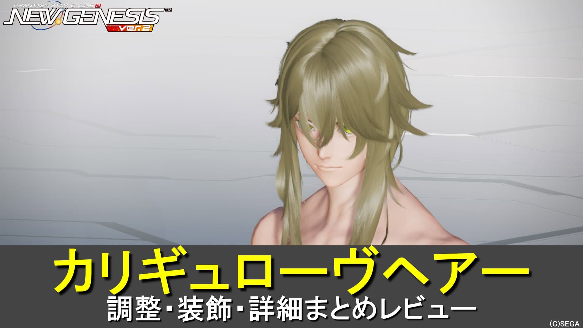 【PSO2NGS】カリギュローヴヘアーの調整、装飾、レビューまとめ