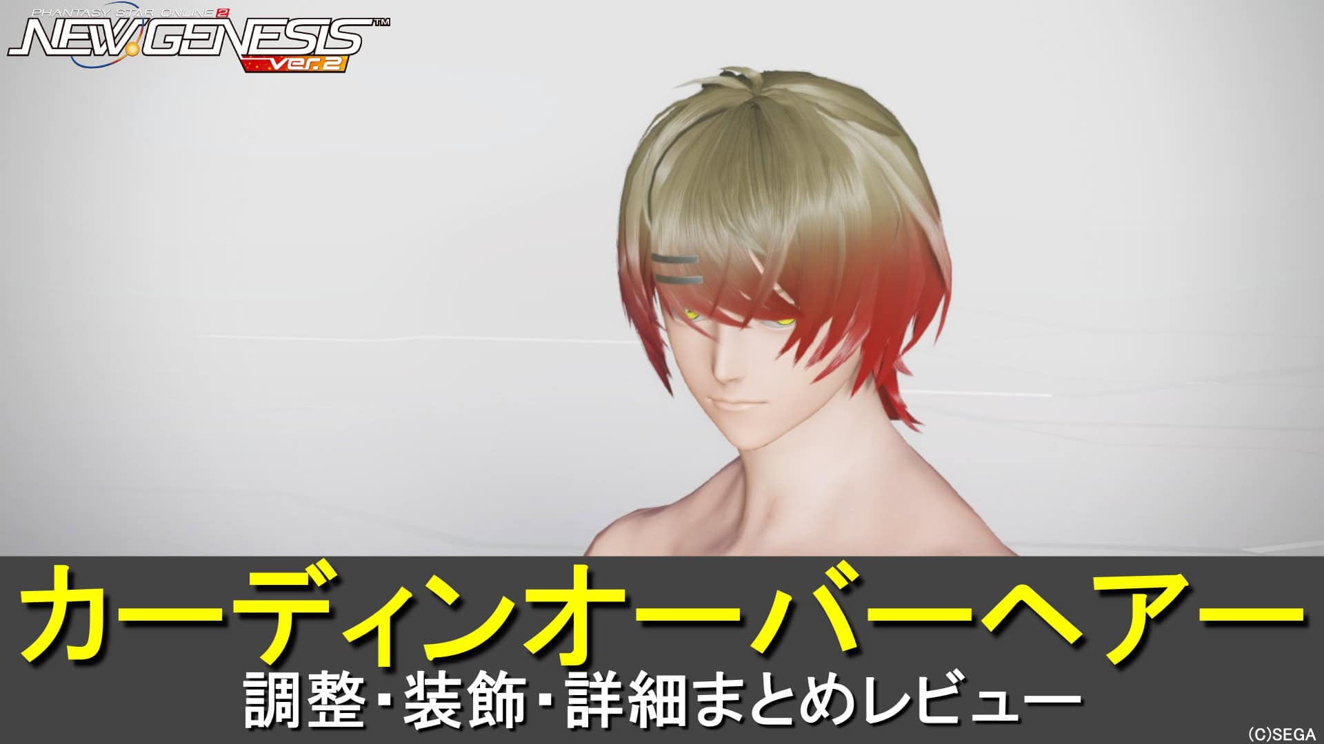 【PSO2NGS】カーディンオーバーヘアーの調整、装飾、レビューまとめ