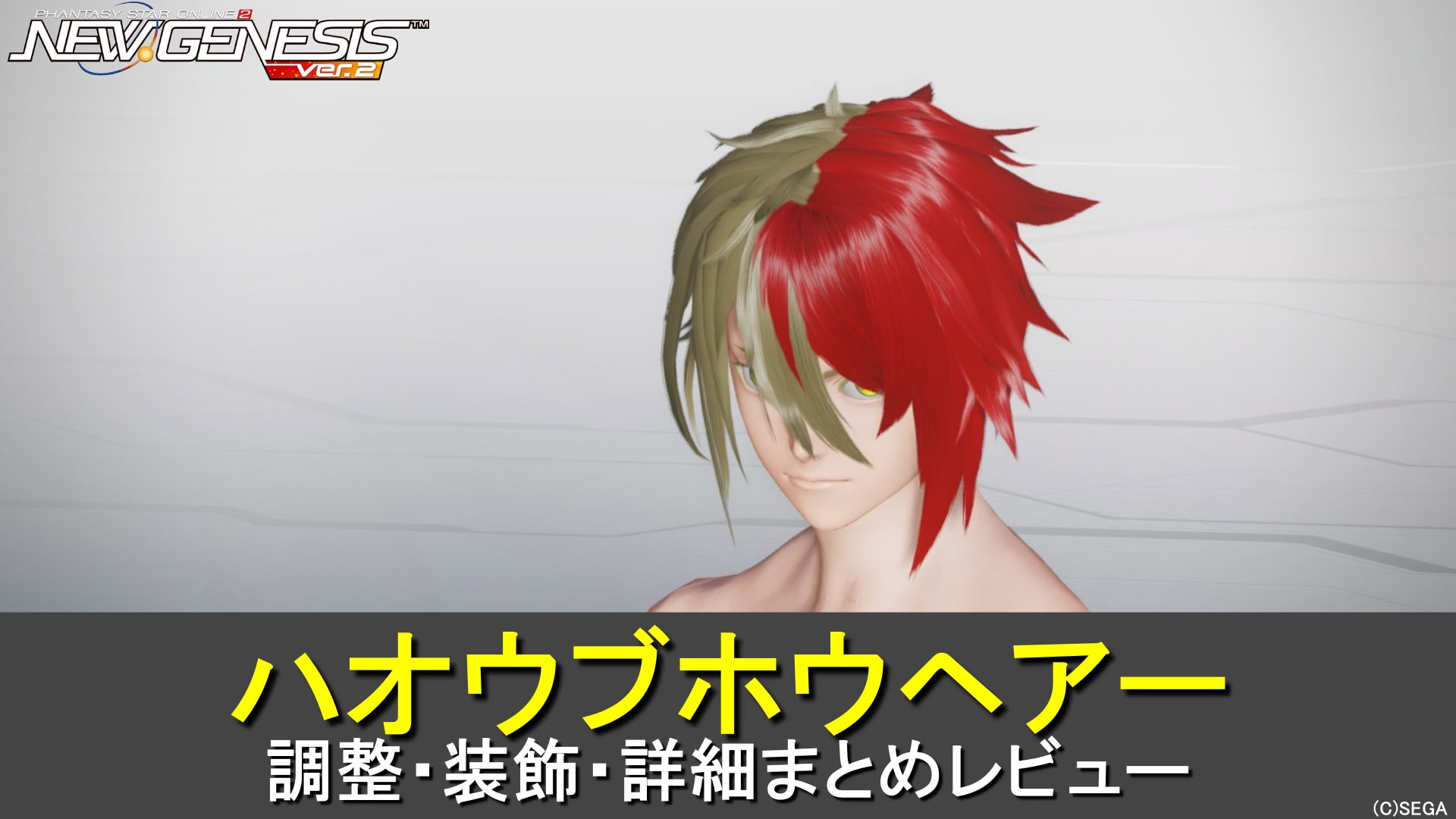 【PSO2NGS】ハオウブホウヘアーの調整、装飾、レビューまとめ