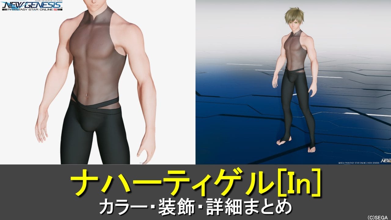 【PSO2NGS】ナハーティゲル[In]のカラー・装飾の詳細