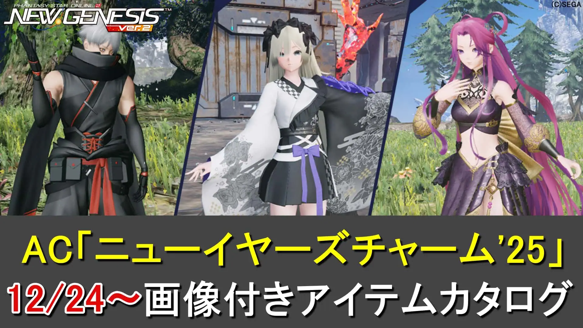 【PSO2NGS】ACスクラッチ「ニューイヤーズチャーム'25」のカタログ一覧