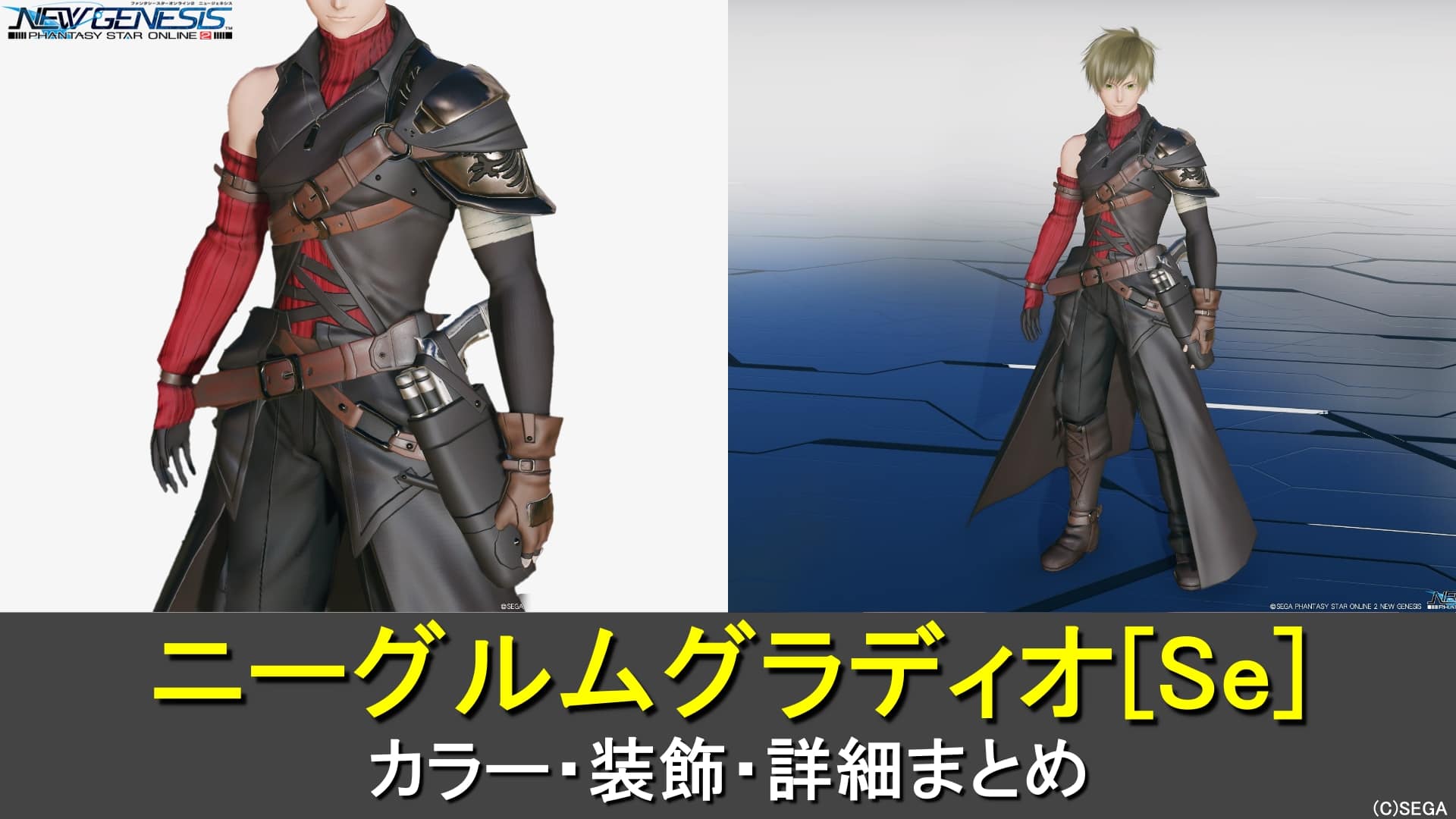 【PSO2NGS】ニーグルムグラディオ[Se]のカラー・装飾の詳細