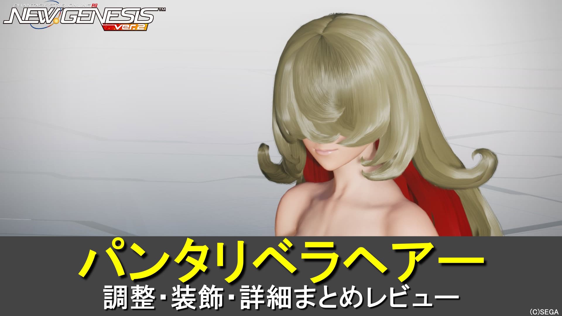 【PSO2NGS】パンタリベラヘアーの調整、装飾、レビューまとめ