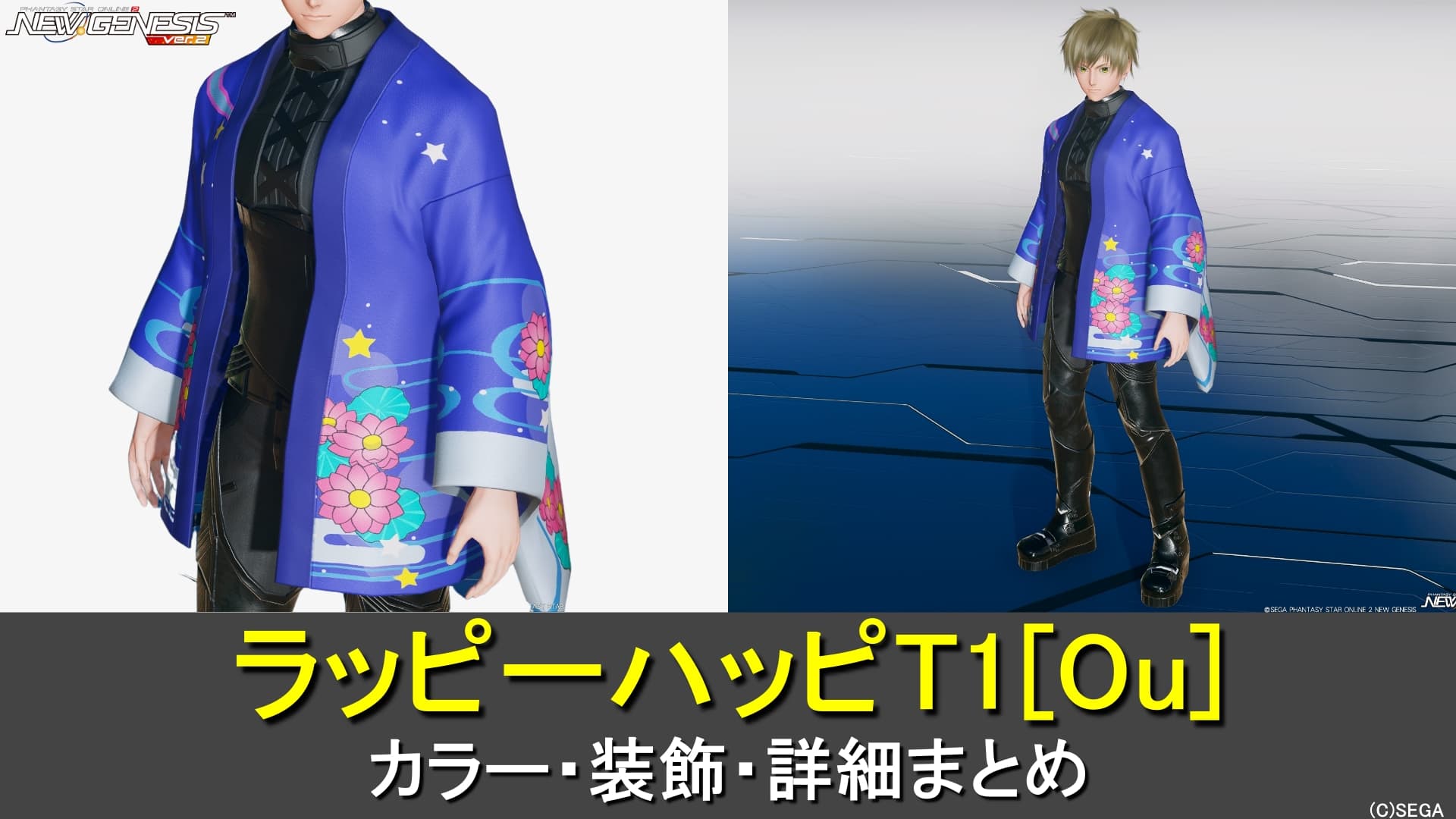 【PSO2NGS】ラッピーハッピT1[Ou]のカラー・装飾の詳細
