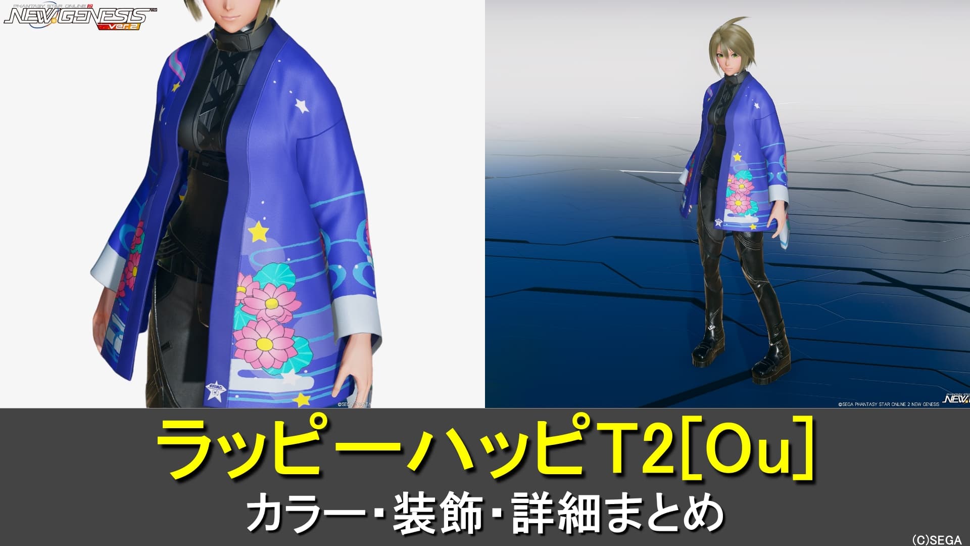 【PSO2NGS】ラッピーハッピT2[Ou]のカラー・装飾の詳細