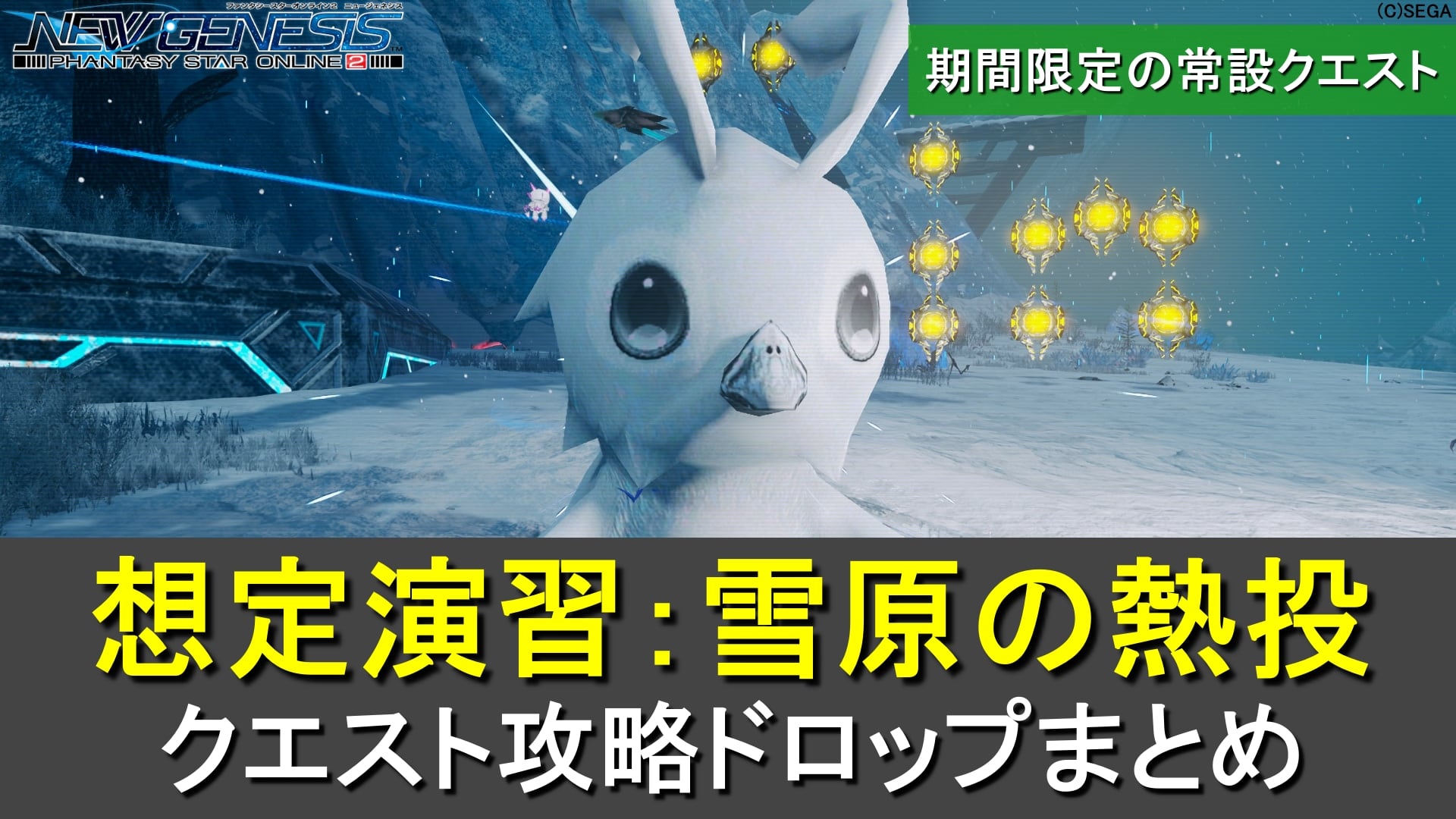 【PSO2NGS】想定演習：雪原の熱投の攻略、ドロップまとめ