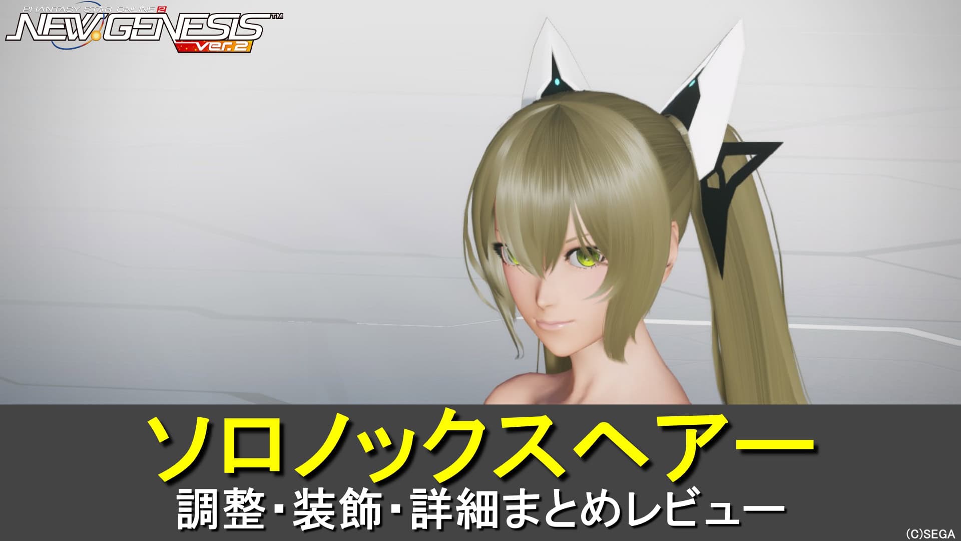 【PSO2NGS】ソロノックスヘアーの調整、装飾、レビューまとめ