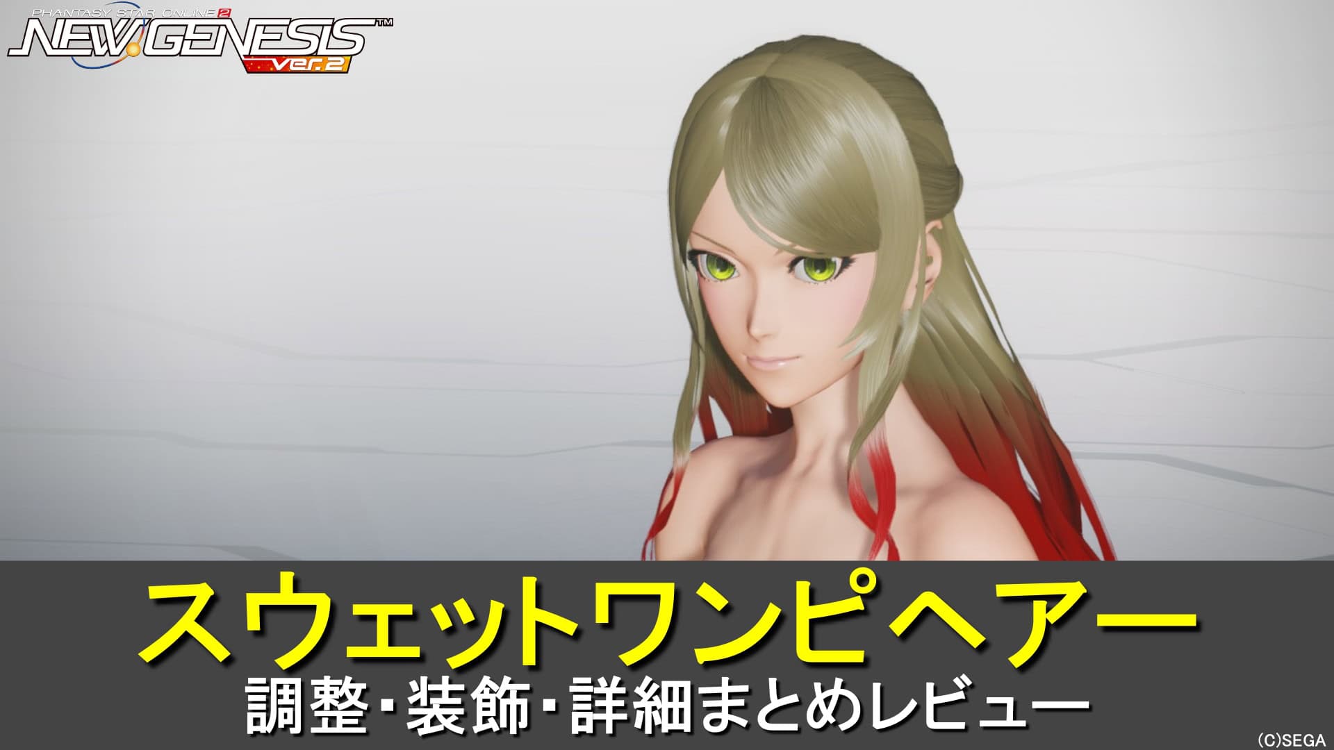 【PSO2NGS】スウェットワンピヘアーの調整、装飾、レビューまとめ
