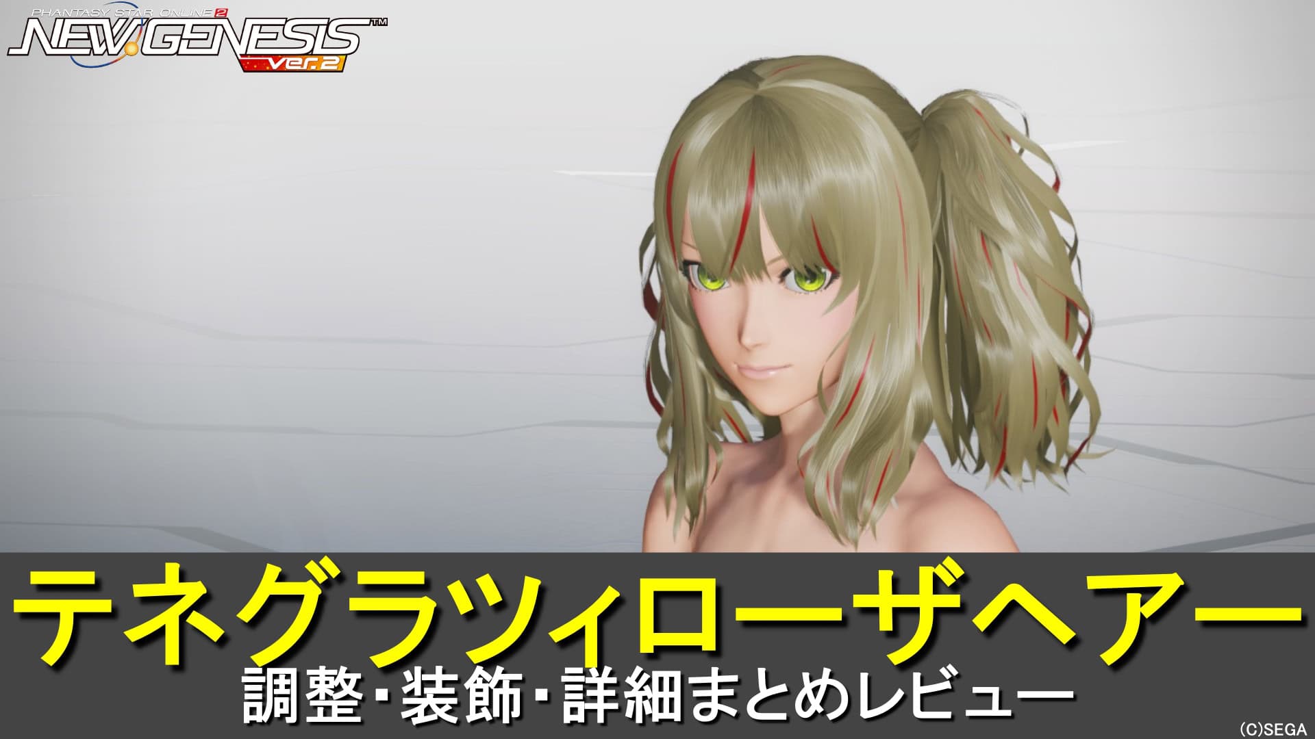 【PSO2NGS】テネグラツィローザヘアーの調整、装飾、レビューまとめ