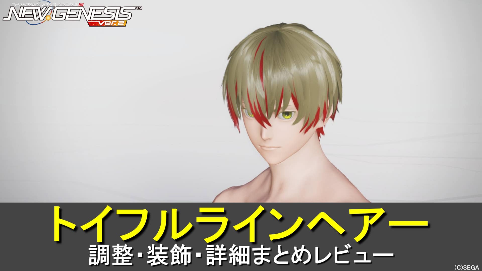 【PSO2NGS】トイフルラインヘアーの調整、装飾、レビューまとめ