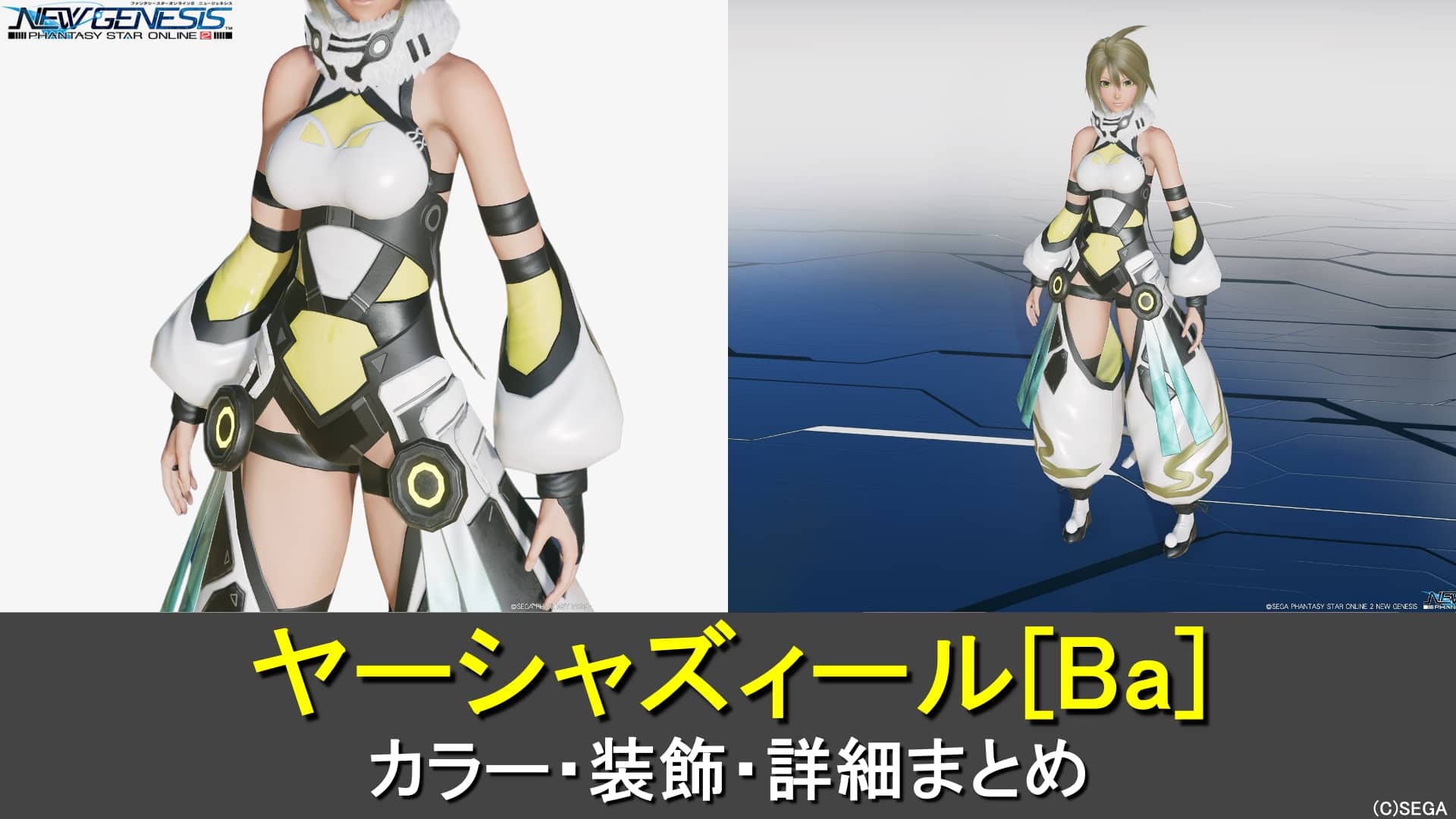 【PSO2NGS】ヤーシャズィール[Ba]のカラー・装飾の詳細