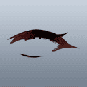 アイラのまつげ