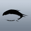 アニマティカまつげ/D