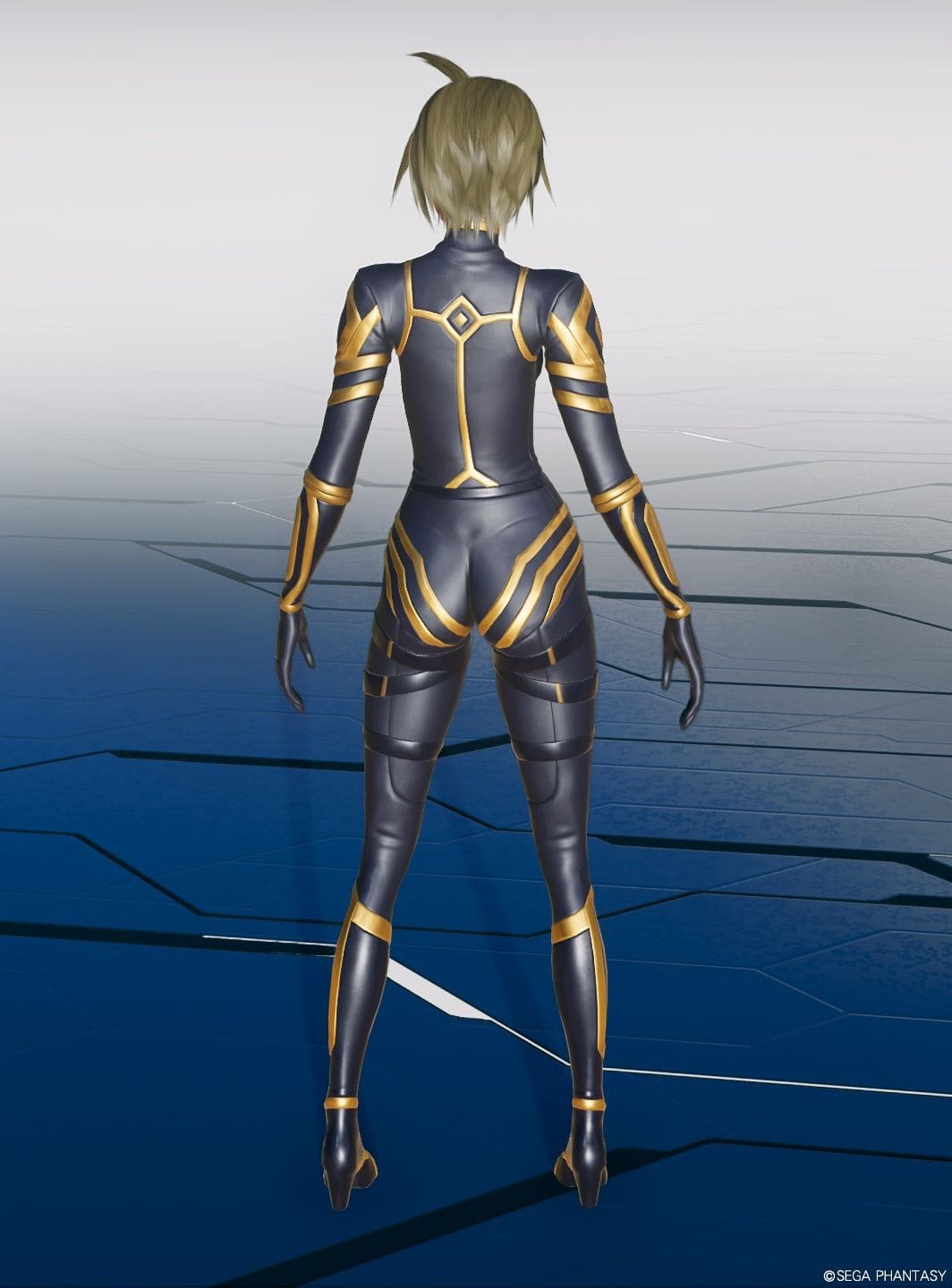 アルファの服Seのバック