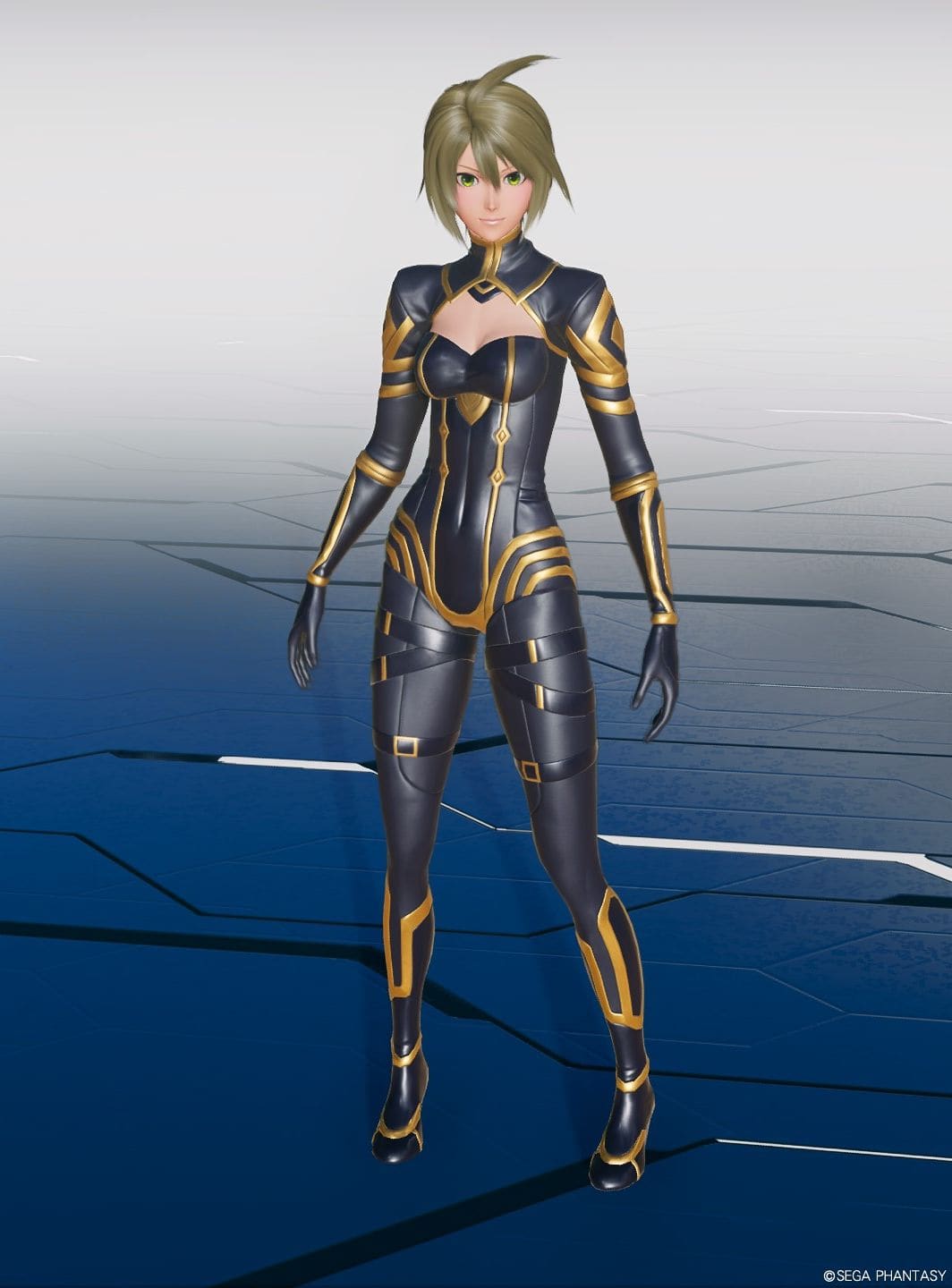 アルファの服Seのフロント