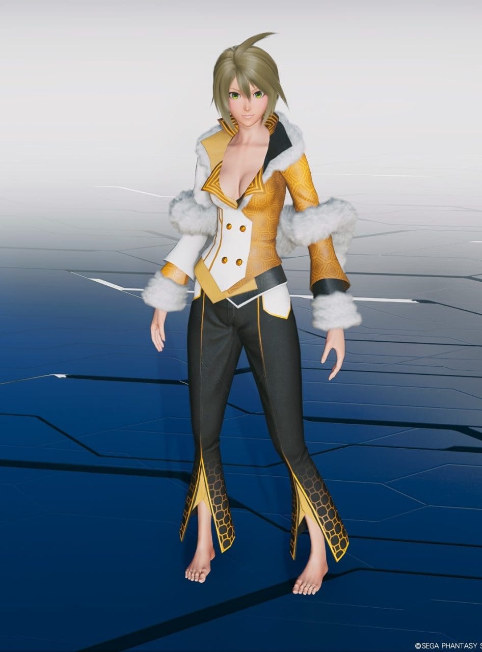 アルファリアクタードレスV2Seの装飾2：非表示