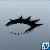 イラスティカまつげ/D