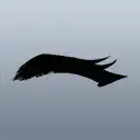 オットリまつげ