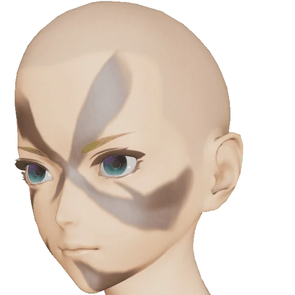 カムフラメイク