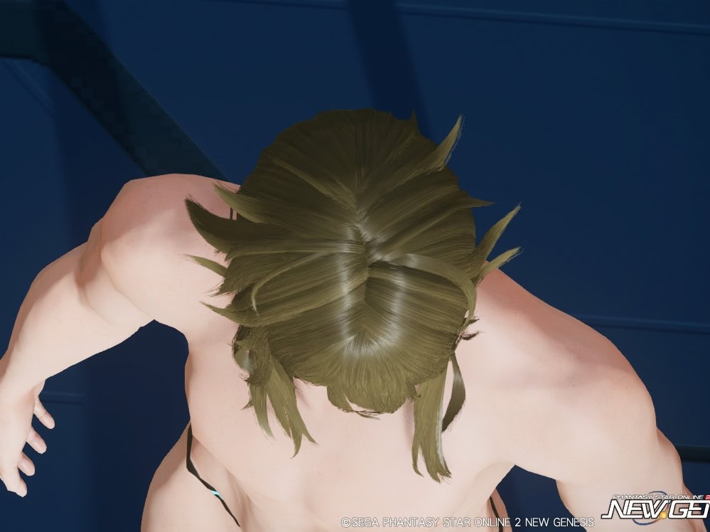 カリギュローヴヘアーのトップビュー