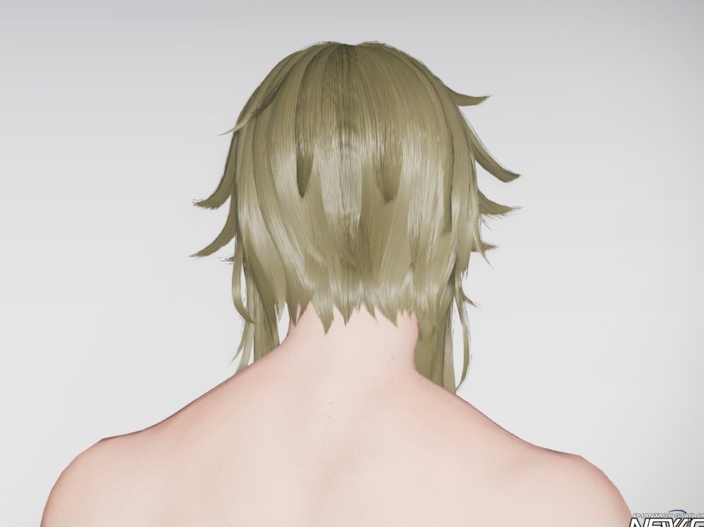 カリギュローヴヘアーのバック