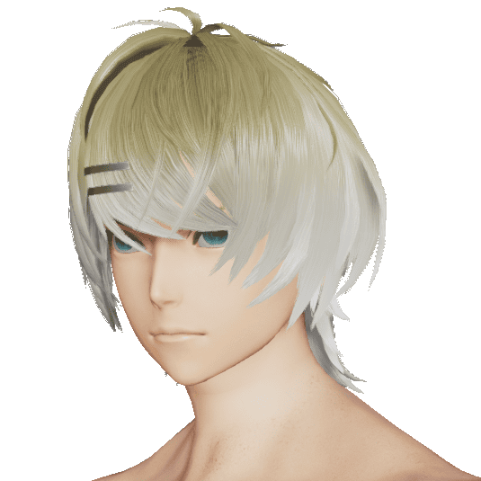 カーディンオーバーヘアー