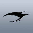 キレナガパッチリまつげ/B