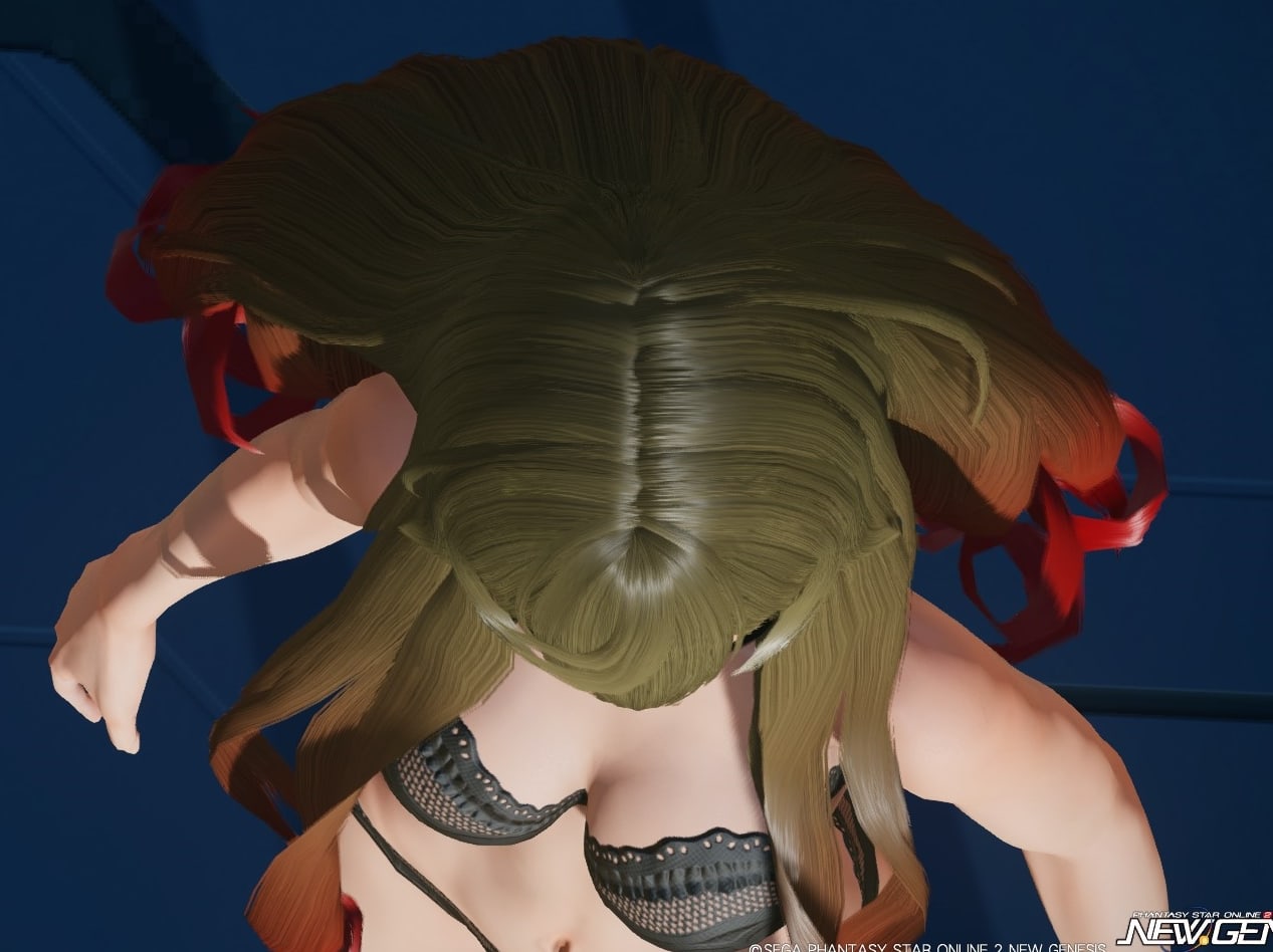 スノーヴェルヘアーのトップビュー