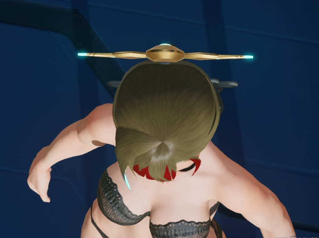 スメラギヒメヘアーのトップビュー