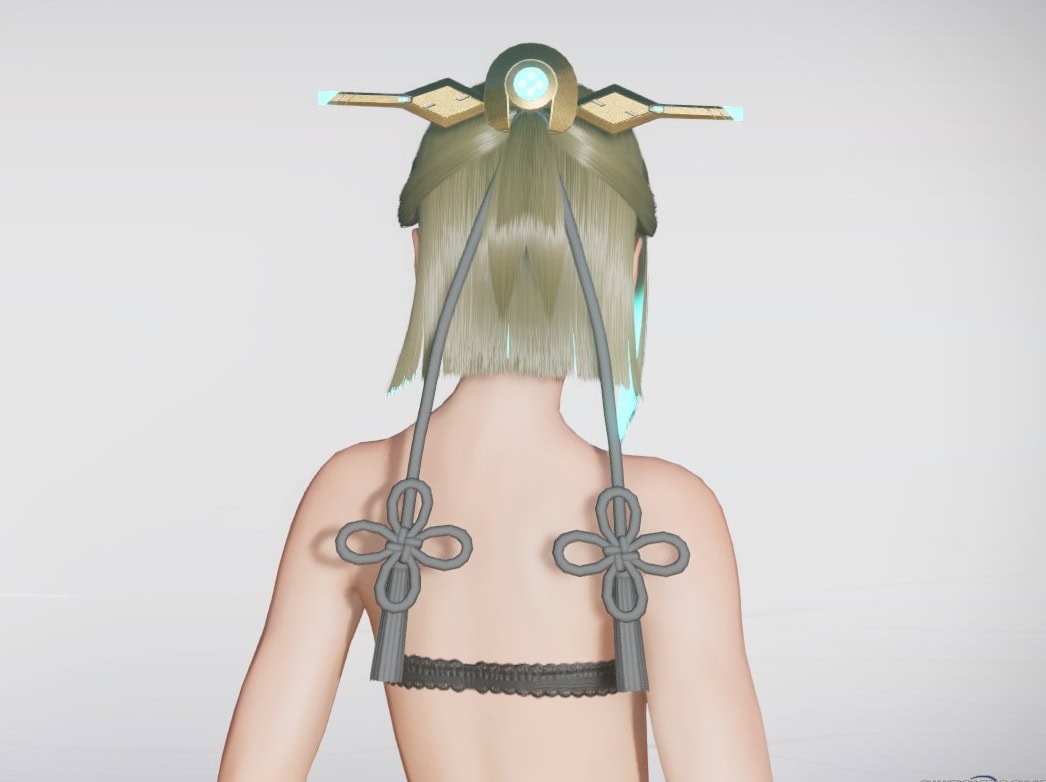 スメラギヒメヘアーのバック