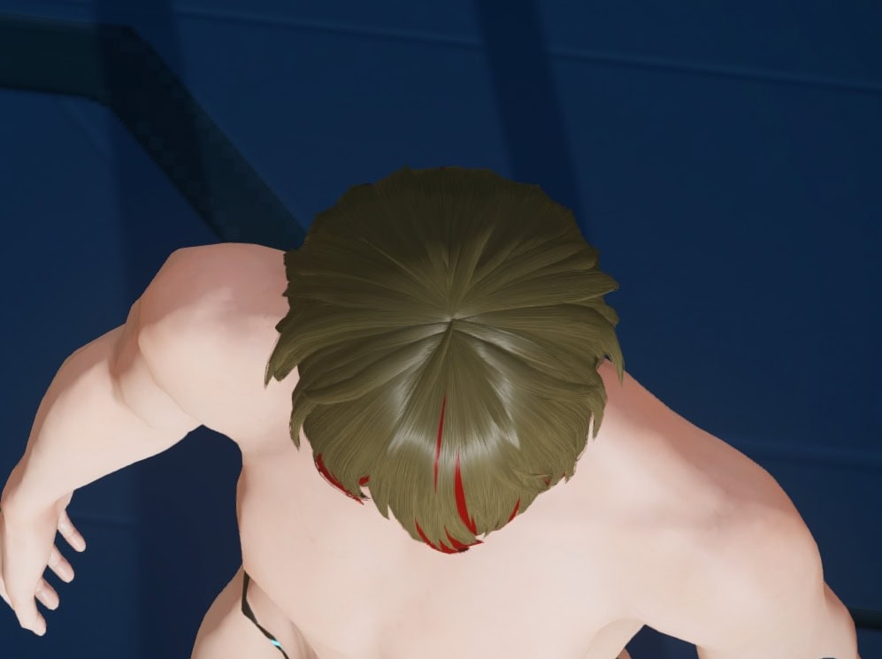 トイフルラインヘアーのトップビュー