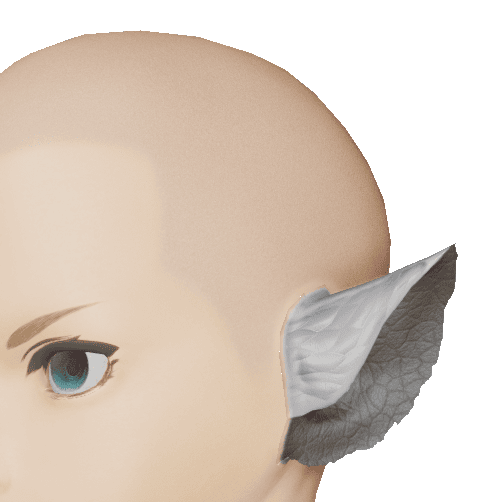 ドラフォレヴィーナイヤー