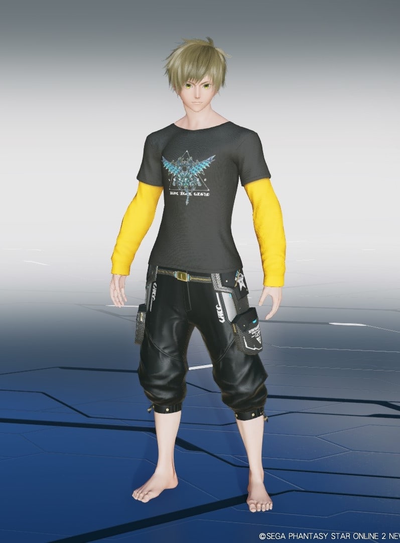 パンツ ngs PSO2NGS】ドンキ×NGSシャツ&パンツT2[Ba]のカラー・装飾の詳細