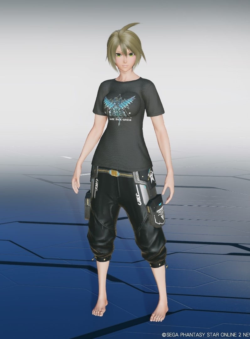 パンツ ngs PSO2NGS】ドンキ×NGSシャツ&パンツT2[Ba]のカラー・装飾の詳細