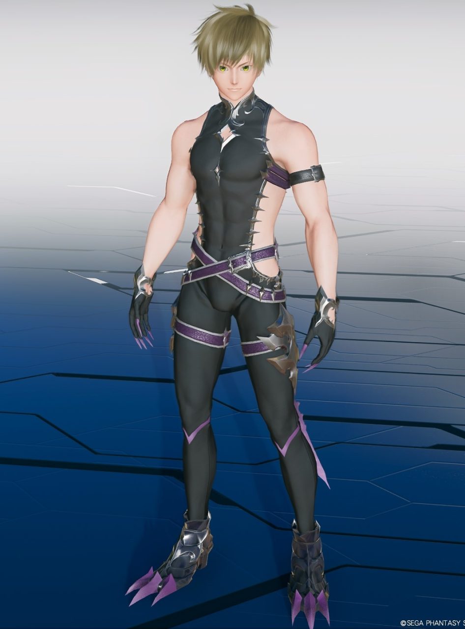 ナハーティゲルT1Baの全装飾の表示