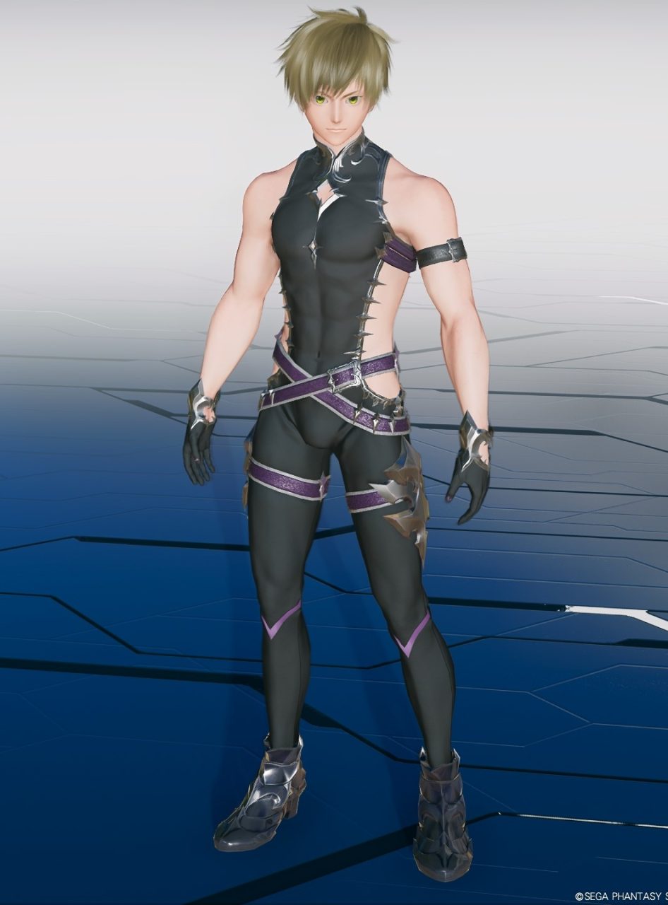 ナハーティゲルT1Baの全装飾の非表示