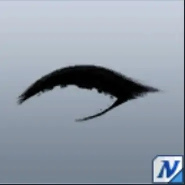 ハッキリまつげ