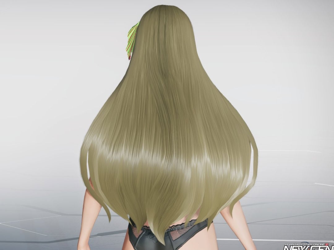 フィンブルエールヘアーのバック