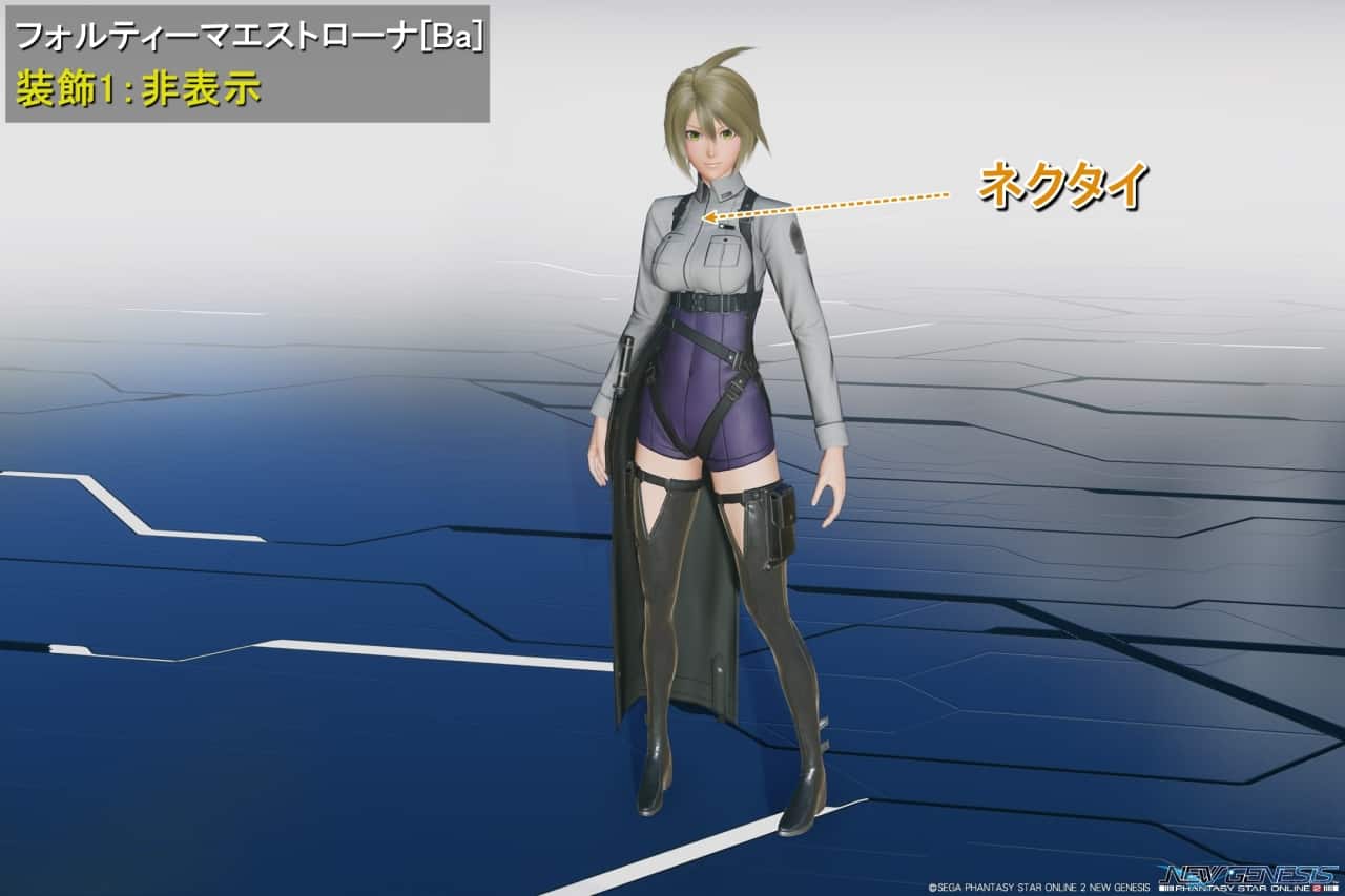 フォルティーマエストローナBaの装飾1：非表示